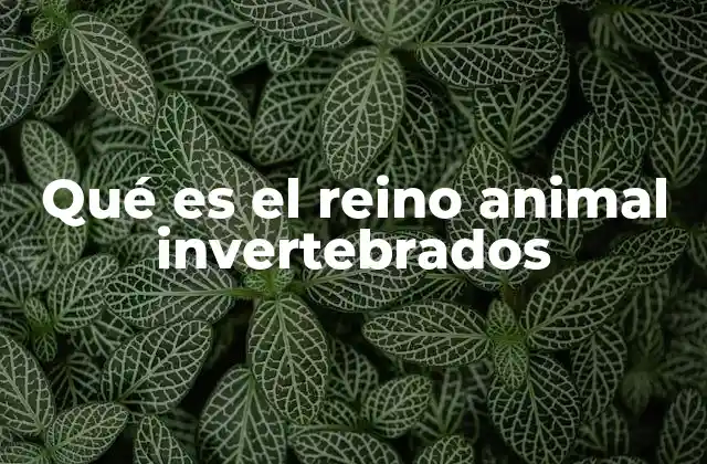 Qué es el Reino Animal Invertebrados