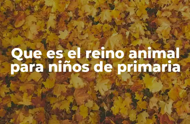 Que es el Reino Animal para Niños de Primaria