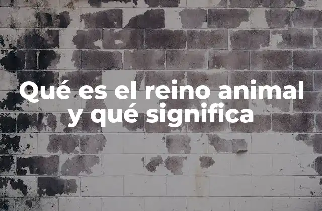 Qué es el Reino Animal y Qué Significa