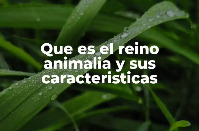 Que es el Reino Animalia y Sus Caracteristicas