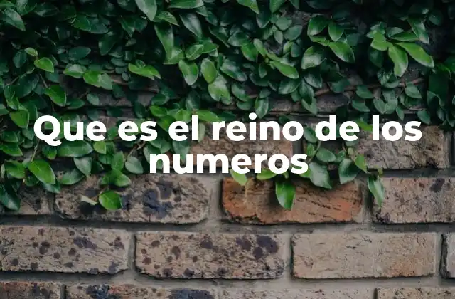 Que es el Reino de los Numeros