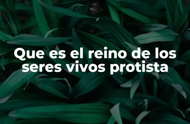 Que es el Reino de los Seres Vivos Protista