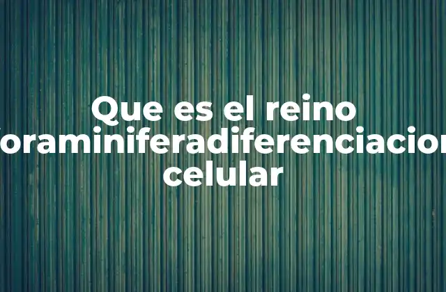 Que es el Reino Foraminiferadiferenciacion Celular