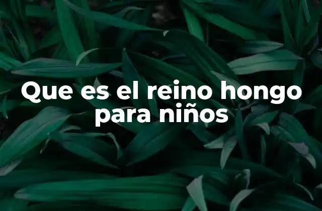 Que es el Reino Hongo para Niños
