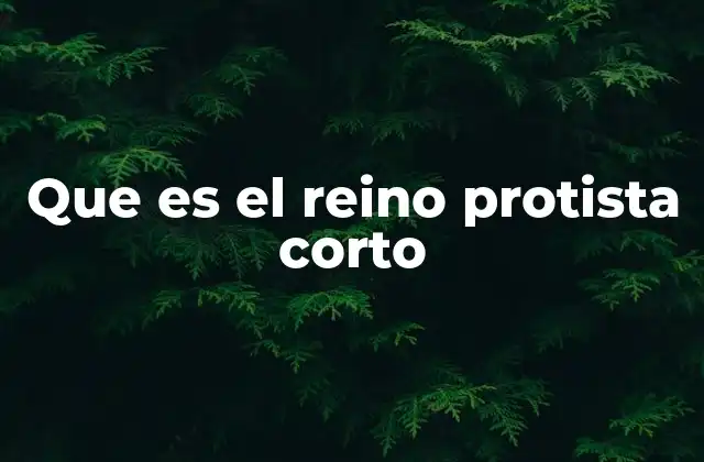 Que es el Reino Protista Corto