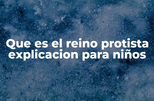 Que es el Reino Protista Explicacion para Niños