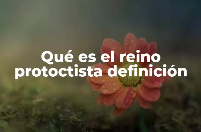 Qué es el Reino Protoctista Definición