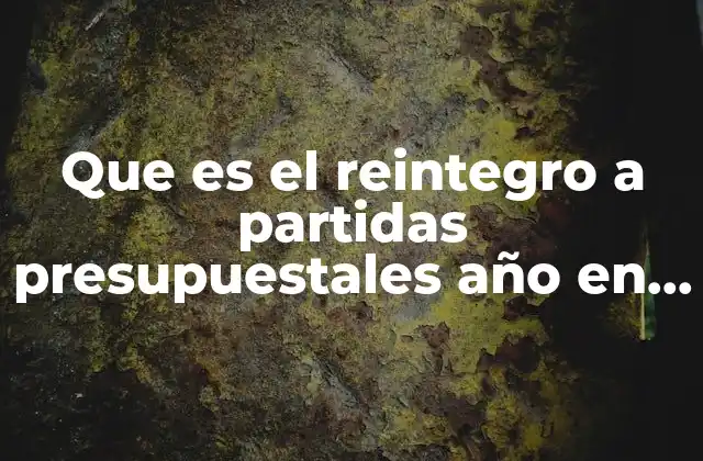 Que es el Reintegro a Partidas Presupuestales Año en Curso