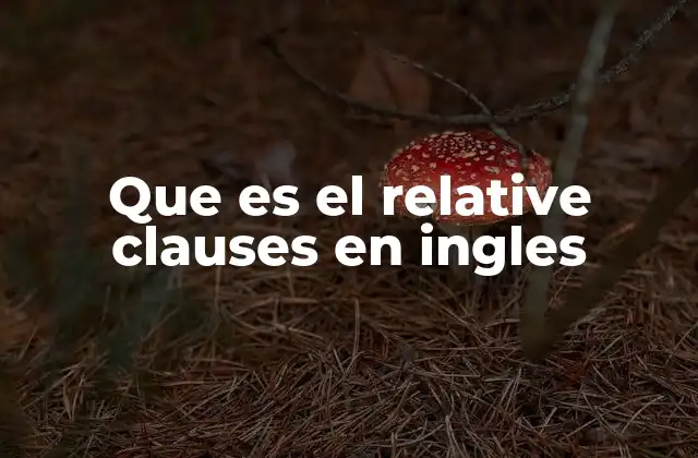 Que es el Relative Clauses en Ingles