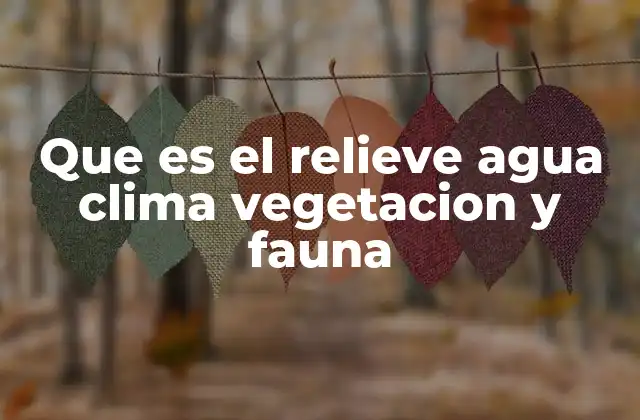 Que es el Relieve Agua Clima Vegetacion y Fauna