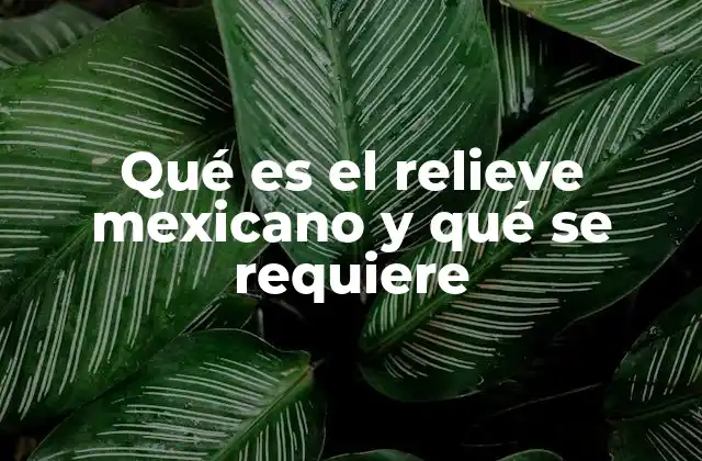 Qué es el Relieve Mexicano y Qué Se Requiere