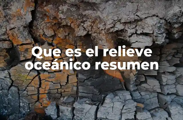 Que es el Relieve Oceánico Resumen 2 Características del relieve submarino