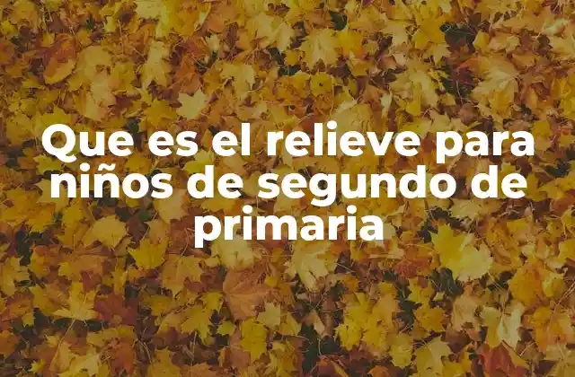 Que es el Relieve para Niños de Segundo de Primaria 2 Cómo entender el relieve desde una perspectiva visual