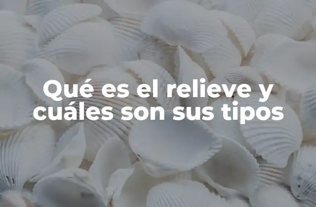 Qué es el Relieve y Cuáles Son Sus Tipos