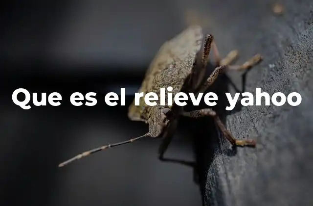 Que es el Relieve Yahoo