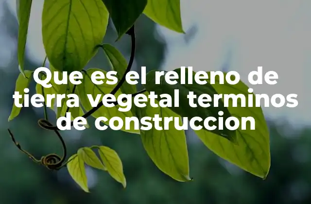 Que es el Relleno de Tierra Vegetal Terminos de Construccion 2 El papel del relleno en la preparación de terrenos