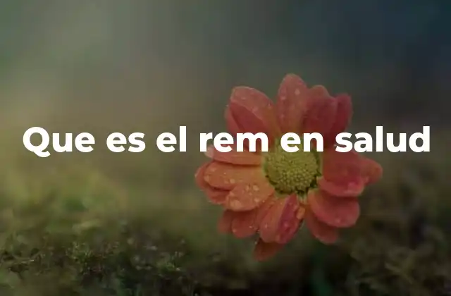 Que es el Rem en Salud