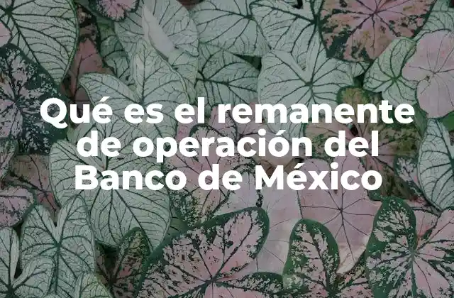 Qué es el Remanente de Operación Del Banco de México