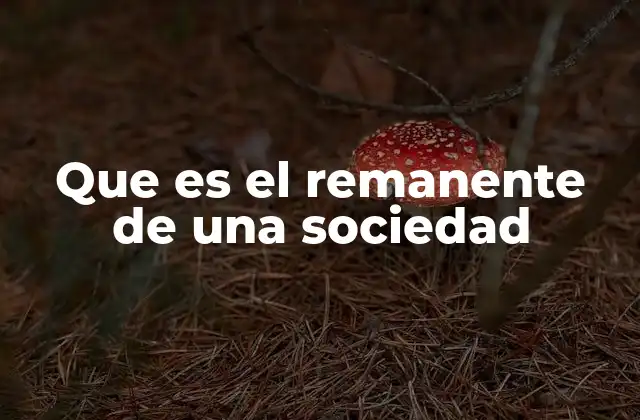 Que es el Remanente de una Sociedad