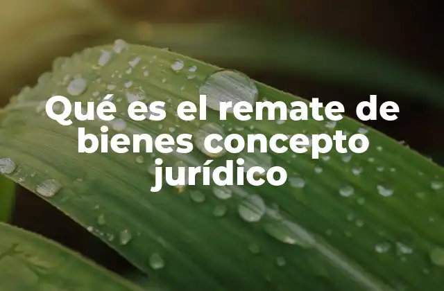 Qué es el Remate de Bienes Concepto Jurídico