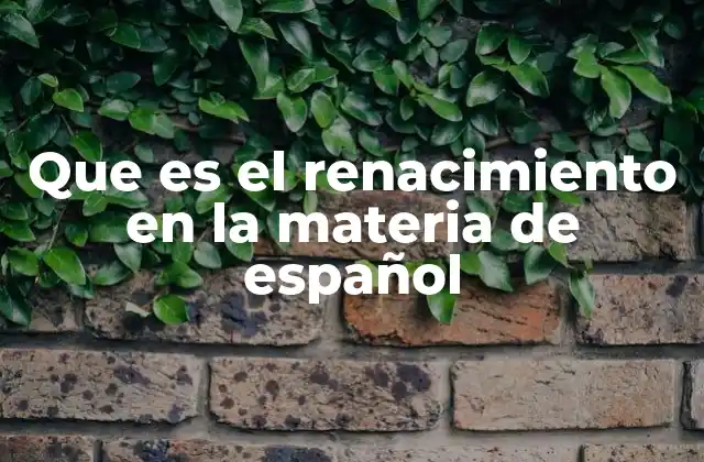 Que es el Renacimiento en la Materia de Español