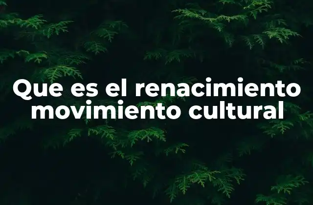 Que es el Renacimiento Movimiento Cultural