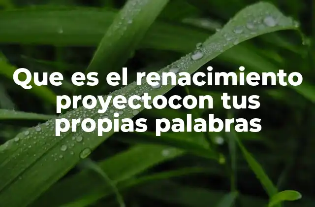 Que es el Renacimiento Proyectocon Tus Propias Palabras