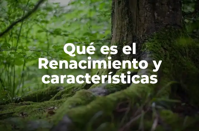 Qué es el Renacimiento y Características