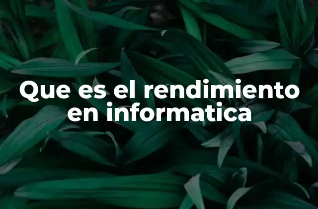 Que es el Rendimiento en Informatica