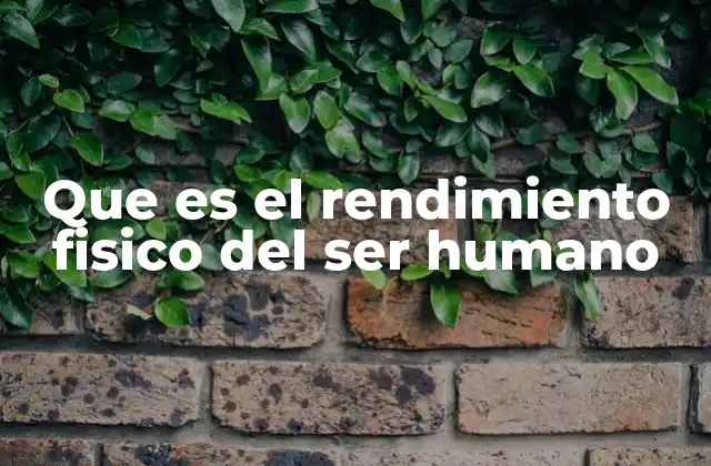 Que es el Rendimiento Fisico Del Ser Humano