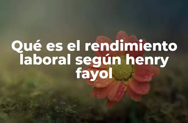 El enfoque fayolista sobre la mejora de la eficiencia en el trabajo