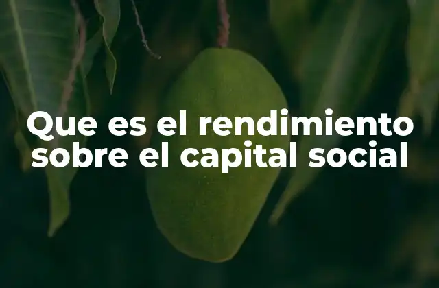 Que es el Rendimiento sobre el Capital Social