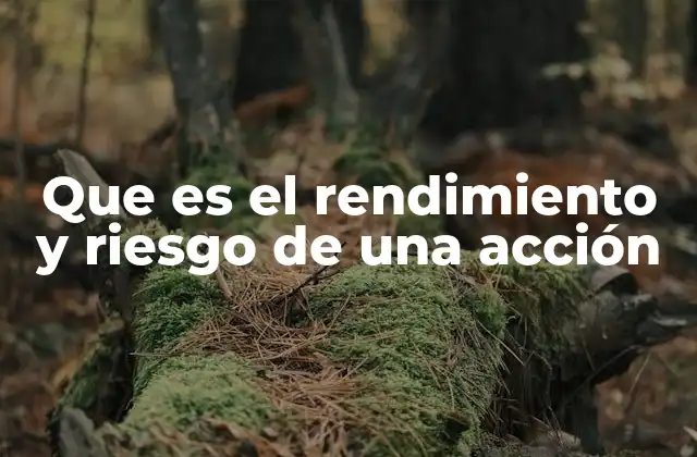 La relación entre el rendimiento esperado y la volatilidad de las acciones