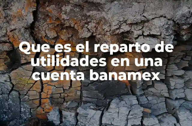 Que es el Reparto de Utilidades en una Cuenta Banamex