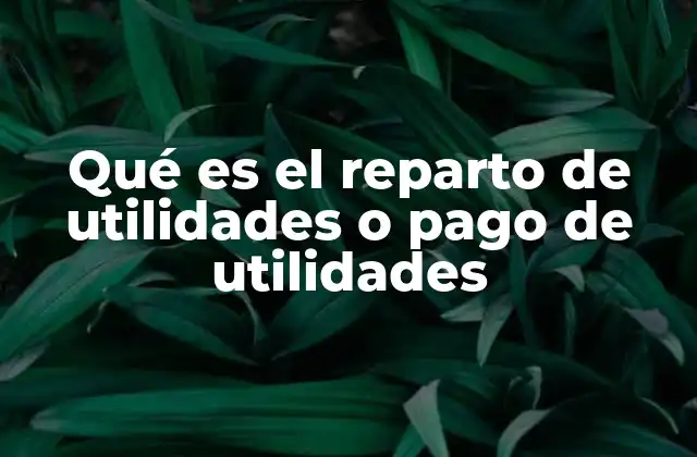 Qué es el Reparto de Utilidades o Pago de Utilidades