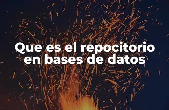 Que es el Repocitorio en Bases de Datos