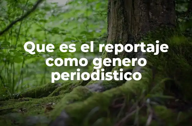 Que es el Reportaje como Genero Periodistico