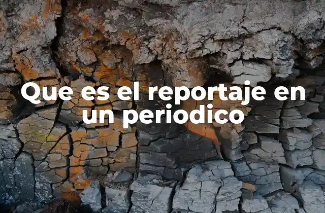 Que es el Reportaje en un Periodico
