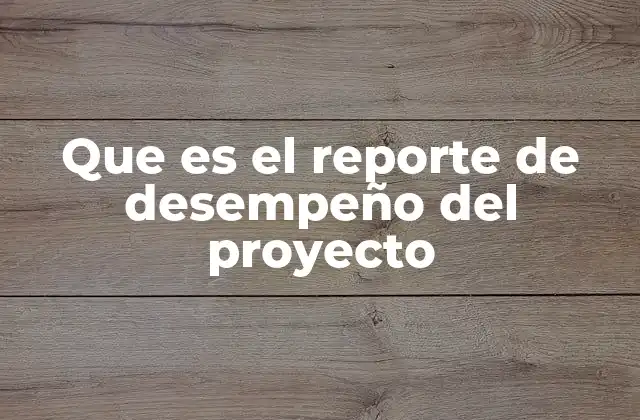 Que es el Reporte de Desempeño Del Proyecto