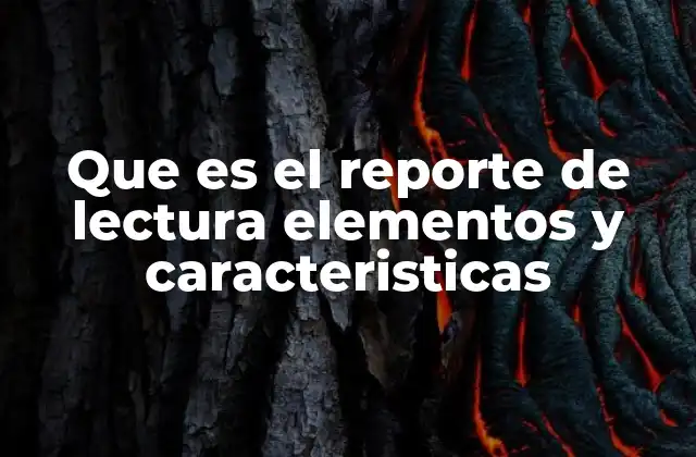 Que es el Reporte de Lectura Elementos y Caracteristicas
