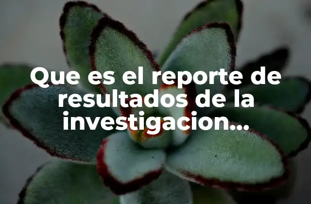 La importancia de estructurar bien los resultados en investigación cualitativa