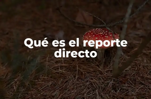 Qué es el Reporte Directo