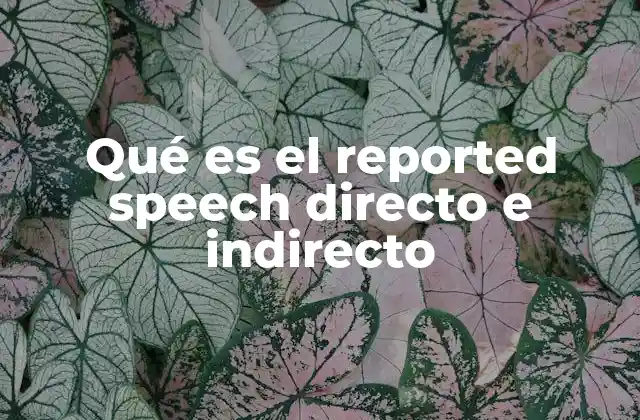 Qué es el Reported Speech Directo e Indirecto