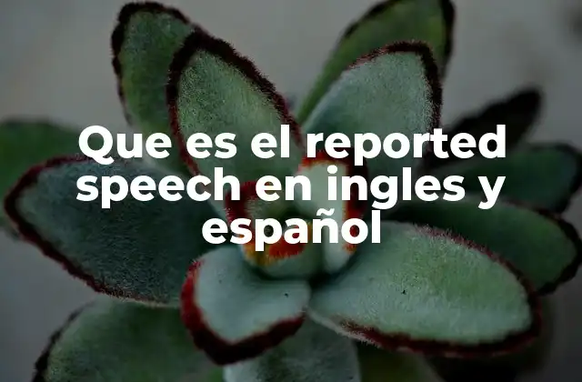 Que es el Reported Speech en Ingles y Español