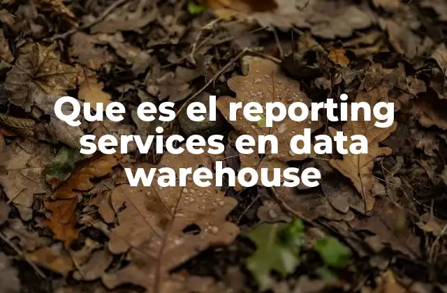 Que es el Reporting Services en Data Warehouse