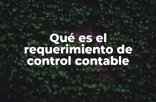 Qué es el Requerimiento de Control Contable