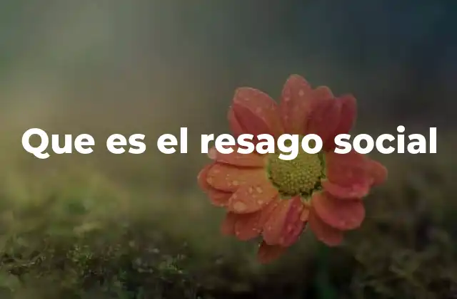 Que es el Resago Social