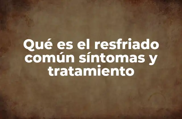 Qué es el Resfriado Común Síntomas y Tratamiento 2 Causas y factores de riesgo del resfriado común