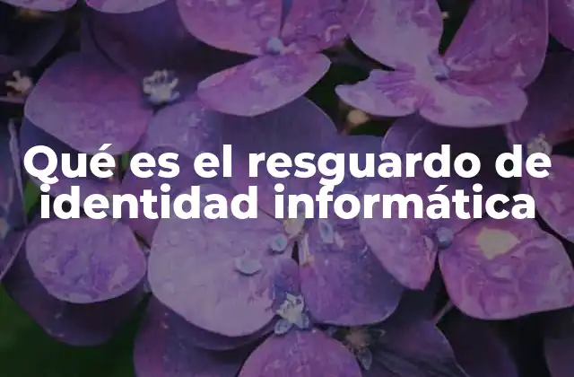 Qué es el Resguardo de Identidad Informática