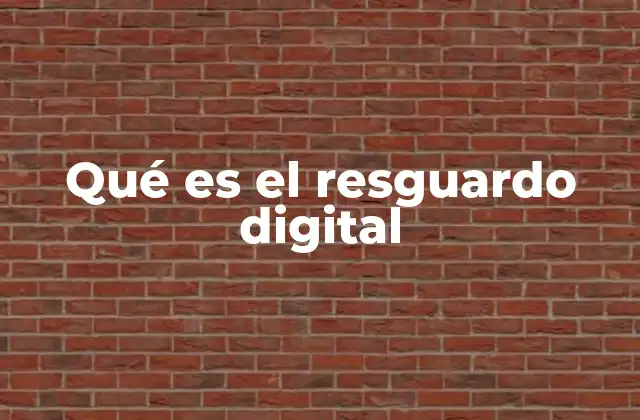 Qué es el Resguardo Digital
